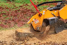 Grass Overseeding in North Laurel, MD
