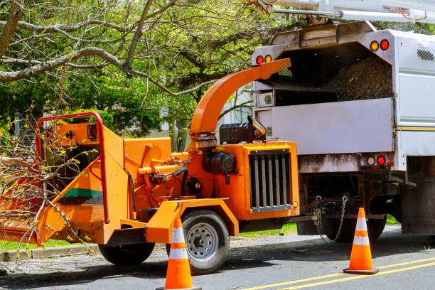 Best Tree Health Inspection  in North Laurel, MD